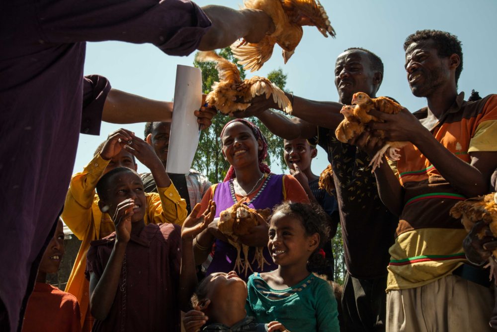 World Poultry Foundation with EthioChicken in Ethiopia