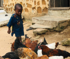 World Poultry Foundation Randall Ennis Visits Nigerian Village Flocks